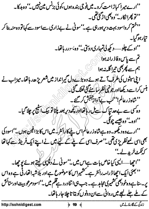 zindagi ke nigarkhane mein romantic Urdu novel by afshan afridi, Page No. 19