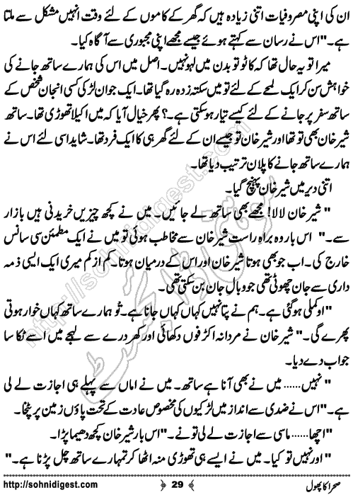 sehra ka phool romantic Urdu novel by bilal aslam, Page No. 29