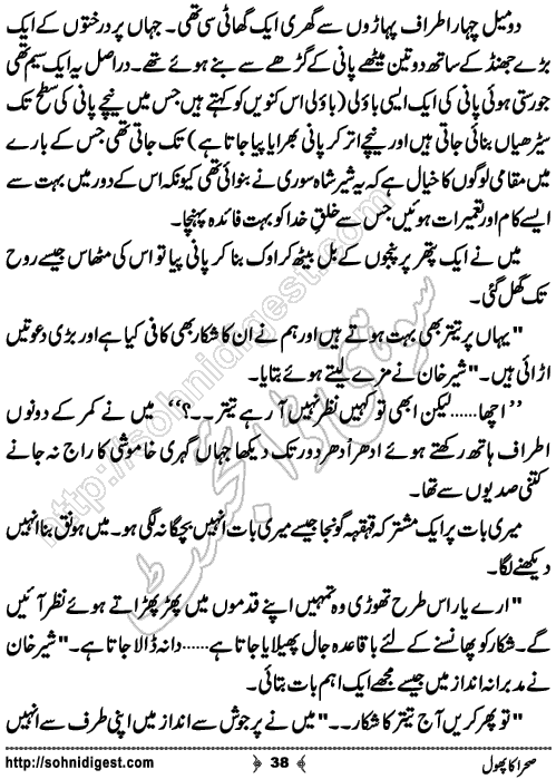 sehra ka phool romantic Urdu novel by bilal aslam, Page No. 38