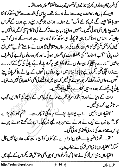 Khu e SagaN Crime Thriller Novel by Dr Abdul Rab Bhatti, Page No. 14