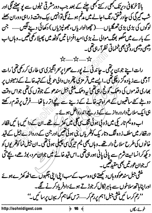 Khu e SagaN Crime Thriller Novel by Dr Abdul Rab Bhatti, Page No. 16