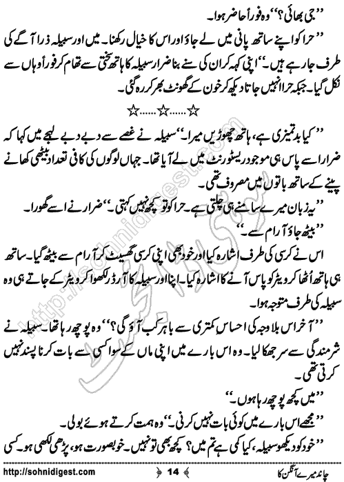 Chand Mere Aangan Ka Urdu novelette by Jiya Abbasi, Page No. 14