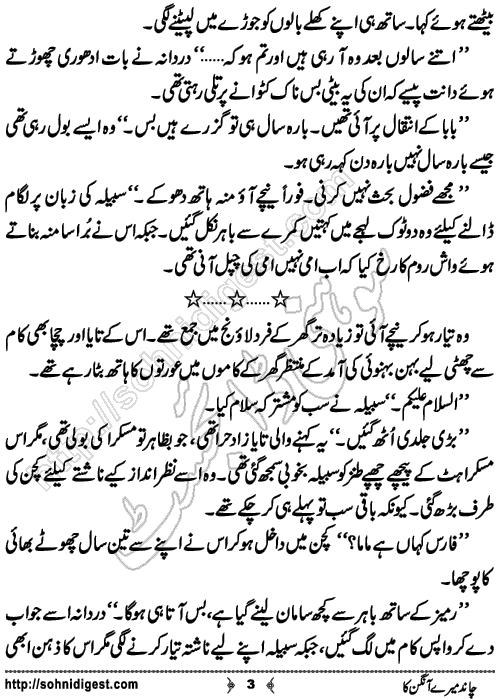 Chand Mere Aangan Ka is an Urdu novelette written by Jiya Abbasi on the happy occasion of Eid ul fitar, Page No. 3