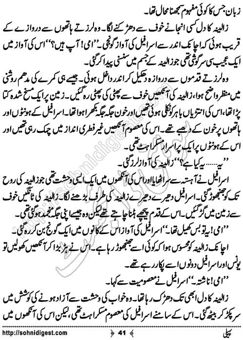 Paheli Urdu novelette by mustafa ahmed, Page No. 41