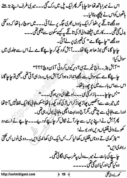 khoey wali qulfi short Urdu story by salman bashir, Page No. 13