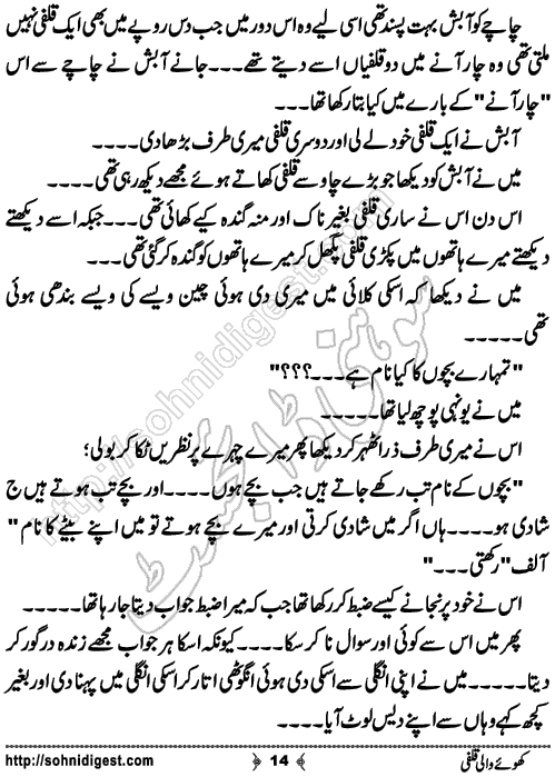 khoey wali qulfi short Urdu story by salman bashir, Page No. 14