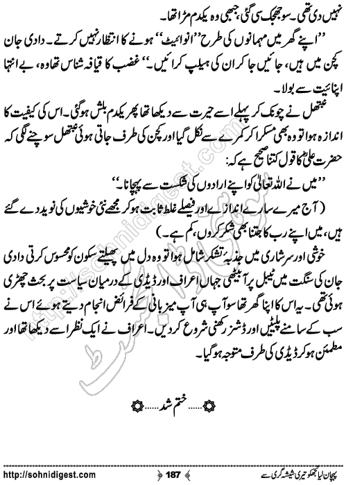 Pehchan Liya Tujh Ko Romantic Urdu Novel by Afshan Afridi, Page No.187