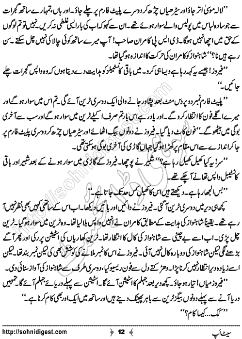 Set Up Crime Story by Ahmad Nauman Sheikh, Page No.  12