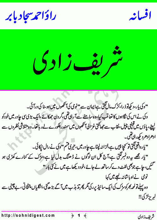 Shareef Zadi is a Short Story written By Ahmad Sajjad Babar about one night when a lonely woman wandering around the streets,    Page No. 1