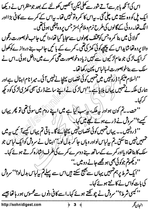 Anjan Nagar is a mystery Story written by Aleena Khan about a mysterious journey of a young girl toward unknown fairylands, Page No.3