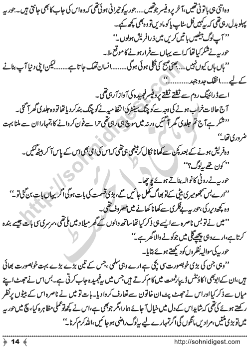 Urdu Novel Idrak (Realization) by Aliya Tauseef Page No. 14