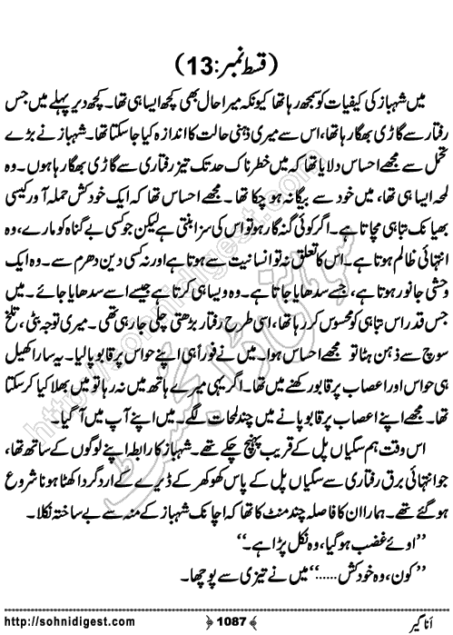 Anageer Action Adventure Novel by Amjad Javed, Page No. 1087