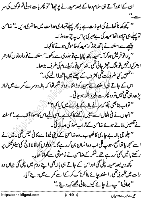 Tere Mere Darmiyan Romantic Urdu Novel by Ana Ilyas, Page No.19