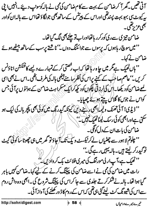 Tere Mere Darmiyan Romantic Urdu Novel by Ana Ilyas, Page No.58