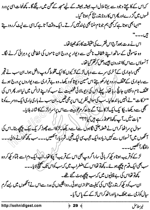 Neer Salasal Urdu Novel , Page No. 29