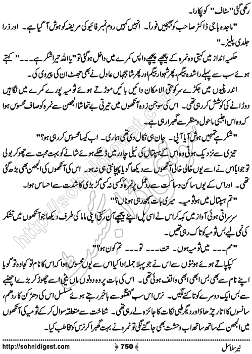 Neer Salasal Urdu Novel , Page No. 750