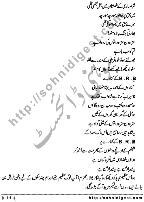 Kia Tum Such Much Pakistani Ho is a Novelette written by Asif Ahmad Bhati about the miserable condition of our country and the irresponsible behaviour of us as Pakistani nation,   Page No. 11