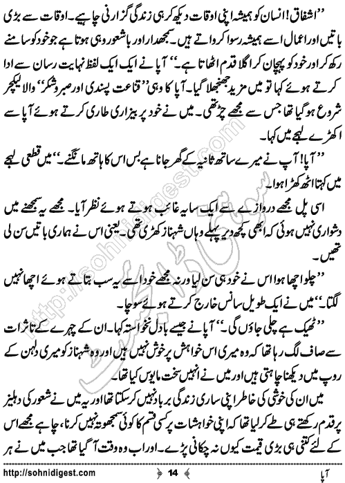 Aapa Short Urdu Story by Bilal Aslam,Page No.14