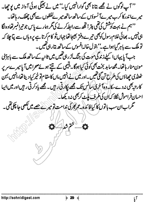 Aapa Short Urdu Story by Bilal Aslam,Page No.29