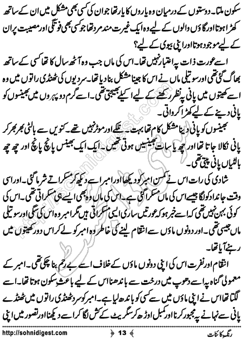 Rang e Kainat Short Urdu Story by Bint e Sadiq, Page No. 13