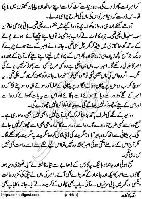 Rang e Kainat Short Urdu Story by Bint e Sadiq, Page No. 16