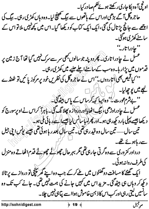 Sabar e Jameel Urdu Novelette by Bint e Sadiq,Page No.19