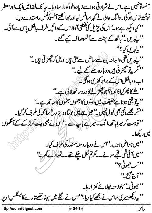 Saga Action Adventure Novel by Bint e Sadiq, Page No.341