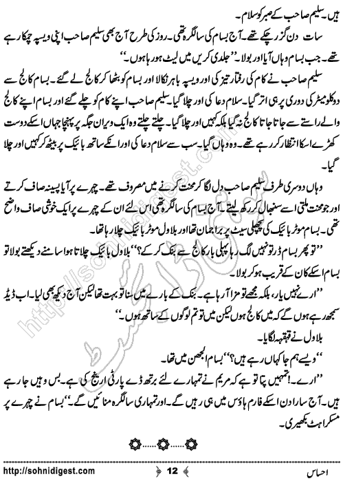 Ehsas Urdu Short Story by Haider Amjad, Page No. 12