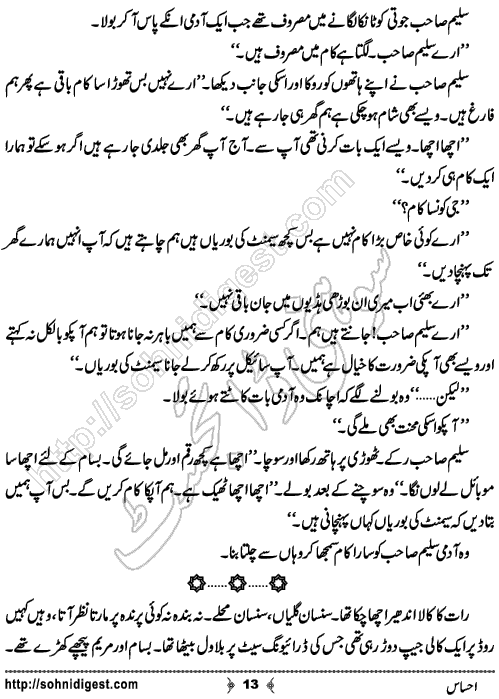 Ehsas Urdu Short Story by Haider Amjad, Page No. 13