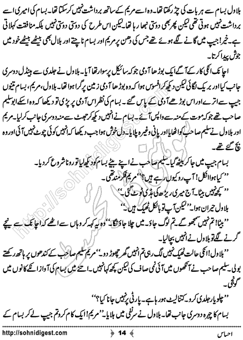 Ehsas Urdu Short Story by Haider Amjad, Page No. 14