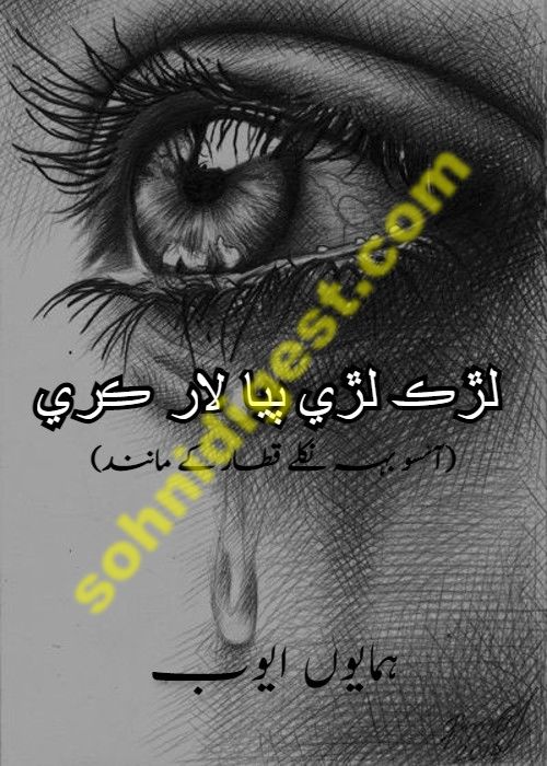 Lurk Ladi Paya Laar Kare is a Romantic Urdu Novel written by Humayun Ayub about a village girl who left her home  and family to pursue her dreams,Page No.1