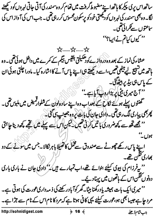 Jub Sham Dhaley Romantic Urdu Novel by Jiya Abbasi, Page No. 16