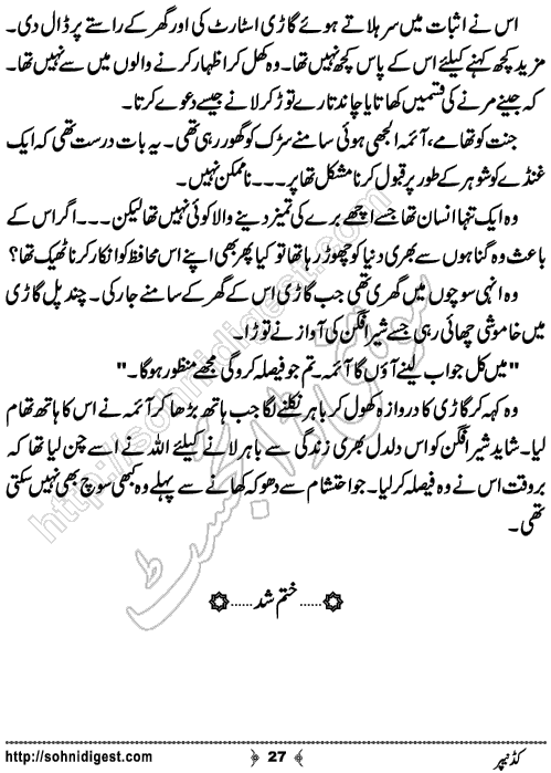 Kidnapper Urdu Short Story by Jiya Abbasi,Page No.27