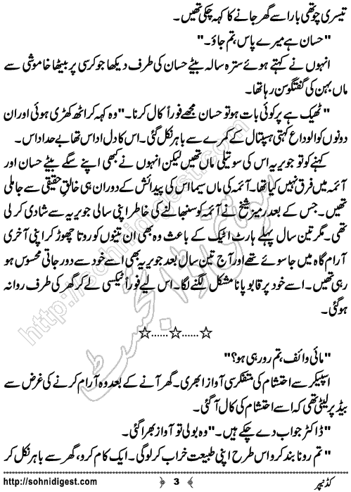 Kidnapper is an Urdu Short Story written by Jiya Abbasi about a greedy and mean husband who kidnapped his own wife for the lust of money,Page No.3