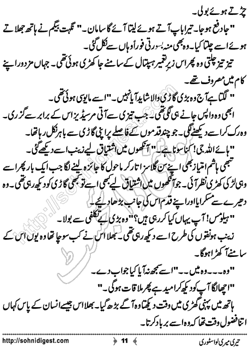 Teri Meri Love Story Urdu Short Story by Jiya Abbasi,Page No.11