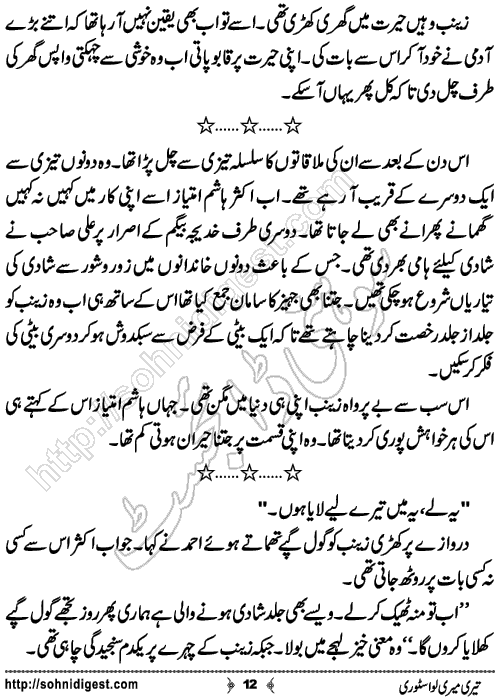 Teri Meri Love Story Urdu Short Story by Jiya Abbasi,Page No.12