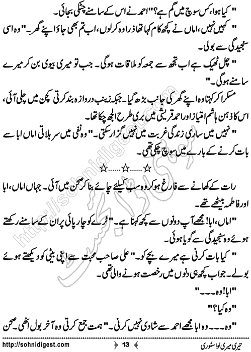 Teri Meri Love Story Urdu Short Story by Jiya Abbasi,Page No.13