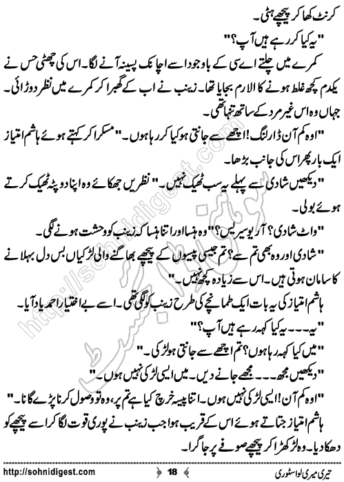 Teri Meri Love Story Urdu Short Story by Jiya Abbasi,Page No.18