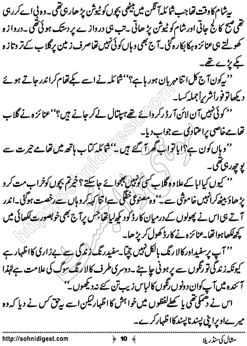 Mishaal Ki Cinderella Urdu Short Story by Khansa Qamar,Page No.10