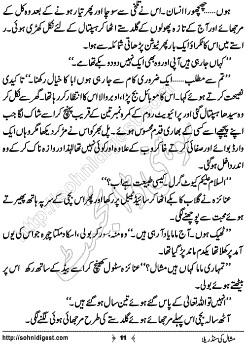 Mishaal Ki Cinderella Urdu Short Story by Khansa Qamar,Page No.11