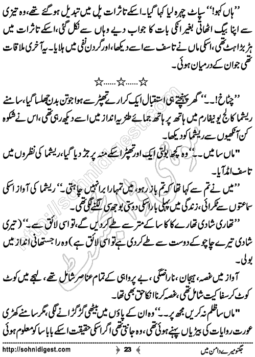 Jugnoo Mere Daman Mein Urdu Novelette by Laiba Sami,Page No.23