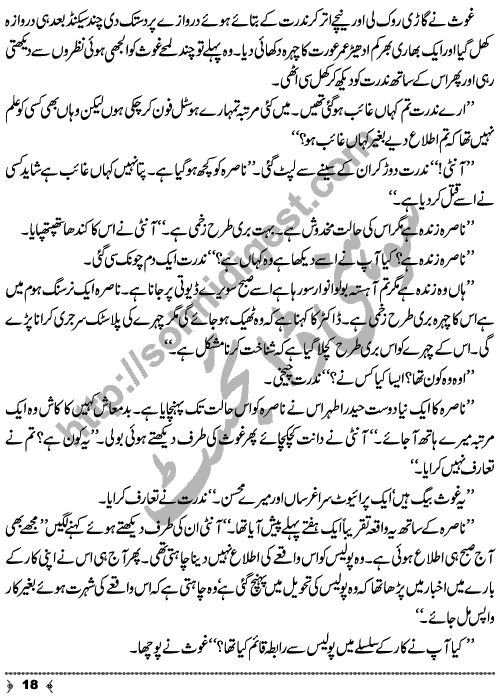 Hosla (Courage) a Crime & Punishment Urdu Long Story by MA Rahat Page No. 18