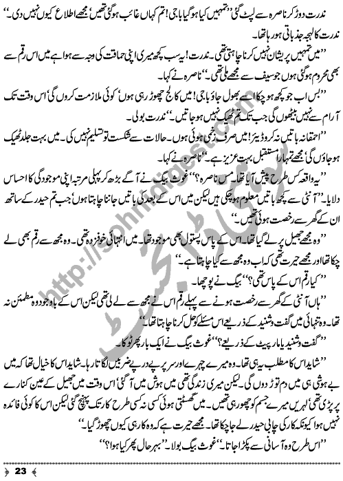 Hosla (Courage) a Crime & Punishment Urdu Long Story by MA Rahat Page No. 23