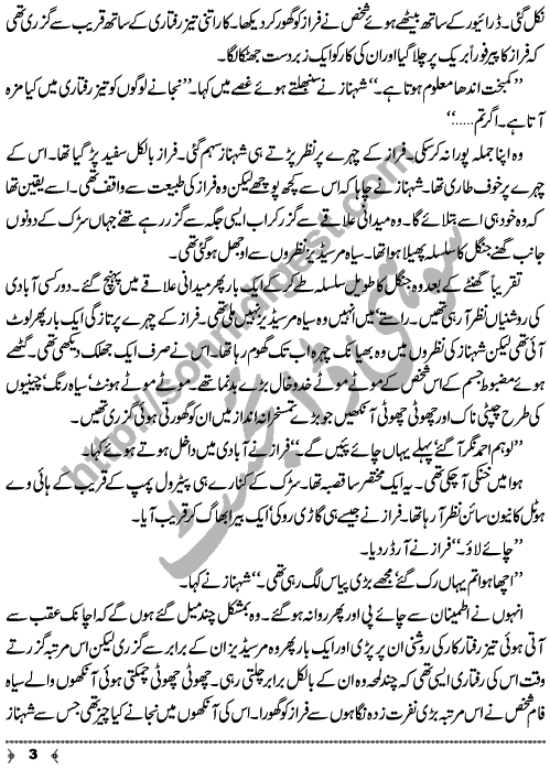 Raaz e Hasti a Crime & Punishment Murder Mystery Urdu Novel by MA Rahat Page No. 3