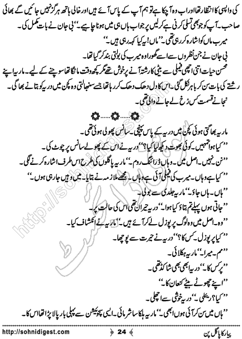 Piyar Ka Pagalpan Urdu Romantic Novel by Mehwish Chaudhary , Page No. 24