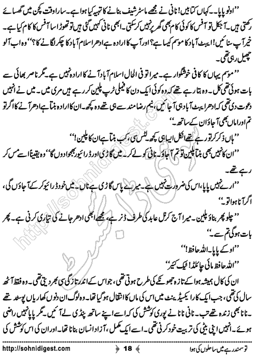 Tou Samander Hai Mein Sahilo Ki Hawa Romantic Urdu Novel by Merium Abbasi, Page No.  18