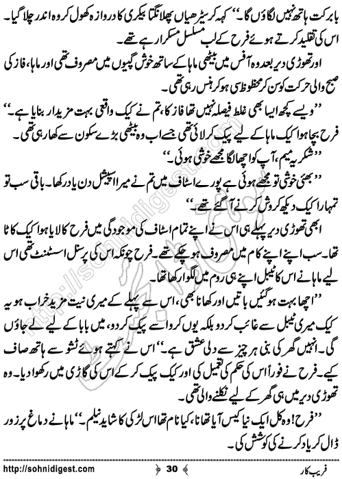 Fareebkar Romantic Urdu Novel by Momina Jamil,Page No.30