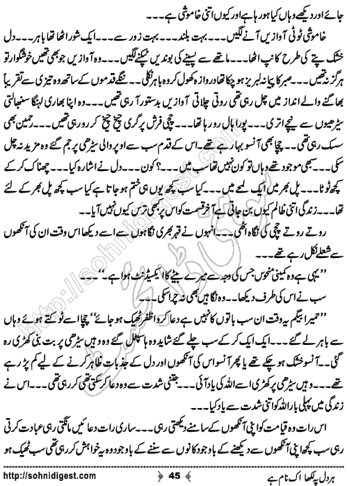 Her Dil Pe Likha Ik Nam Hai is an Urdu Romantic Novel by Nasir Hussain about a young cricketer who fell in love with a female player of his opponent team ,  Page No. 45