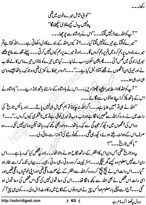 Her Dil Pe Likha Ik Nam Hai is an Urdu Romantic Novel by Nasir Hussain about a young cricketer who fell in love with a female player of his opponent team ,  Page No. 63