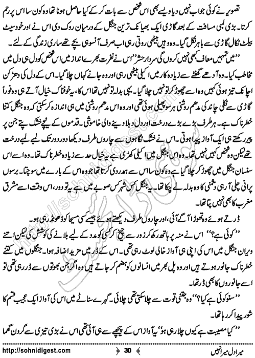 Mera Dil Mera Nahi is an Urdu Romantic Novel by Nasir Hussain about the different colours of love and hate of human nature ,  Page No. 30